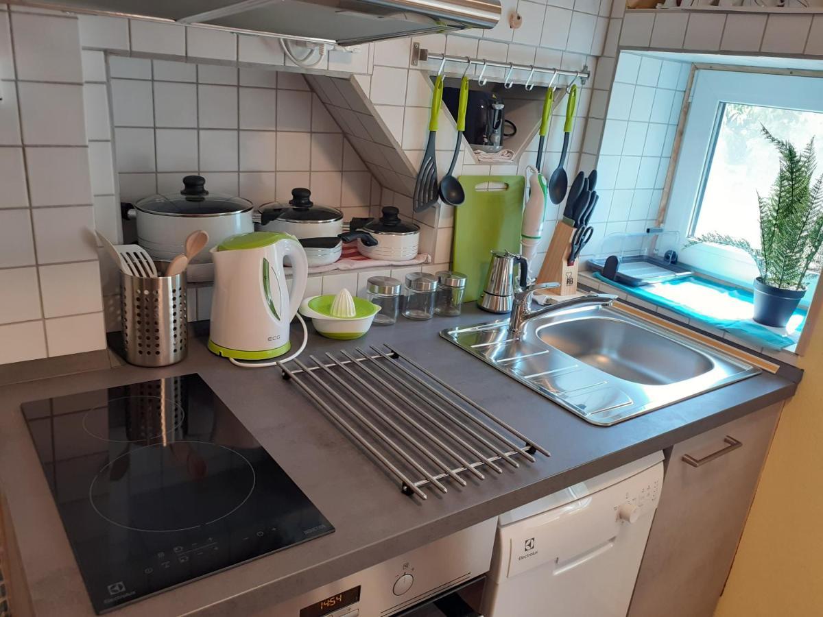 Tomas Old House - River Apartment Visoko (Sencur)