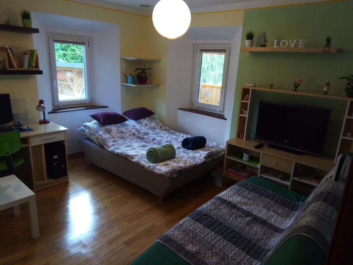 Apartment Tomas Old House - River Visoko (Sencur)