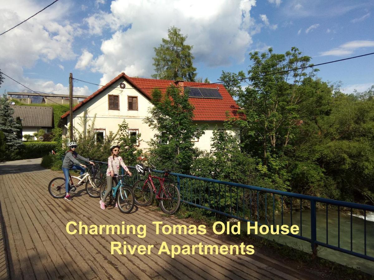 Tomas Old House - River Visoko (Sencur)