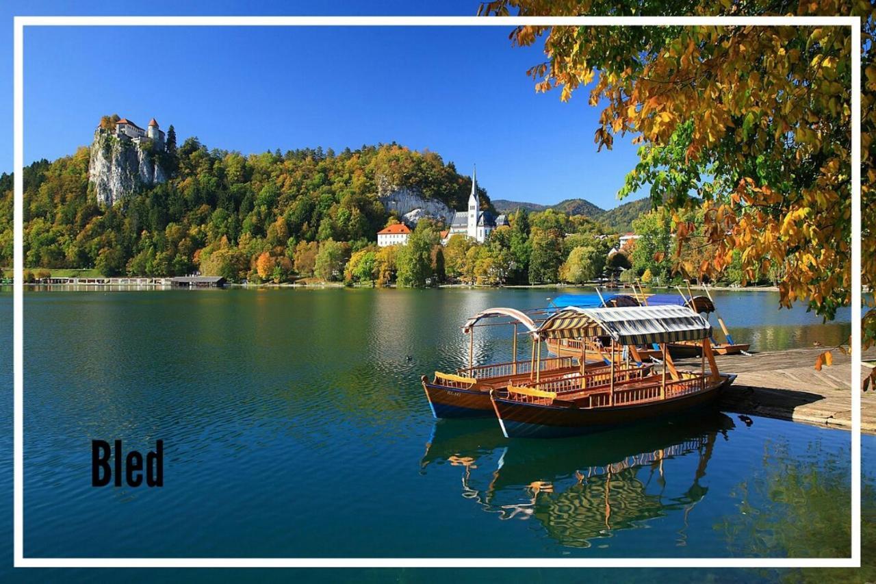 Apartment Tomas Old House - River Visoko (Sencur)