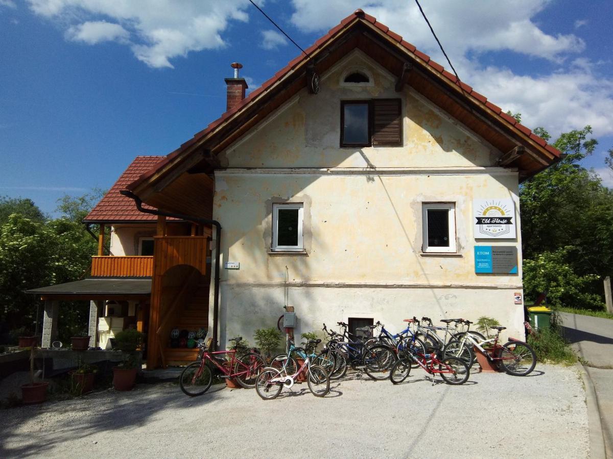 Tomas Old House - River Visoko (Sencur)