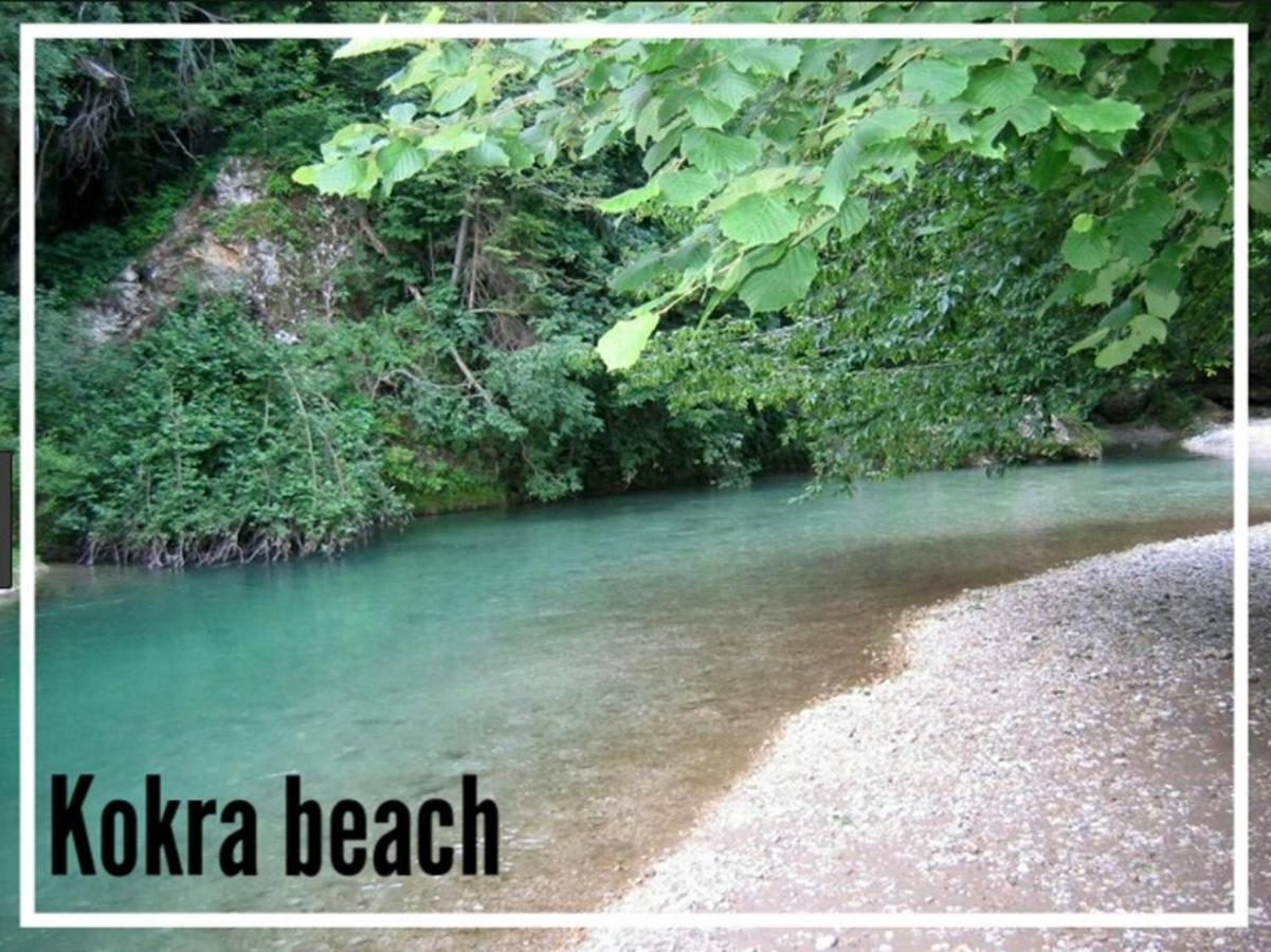 Apartment Tomas Old House - River Visoko (Sencur)